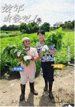 综艺 1